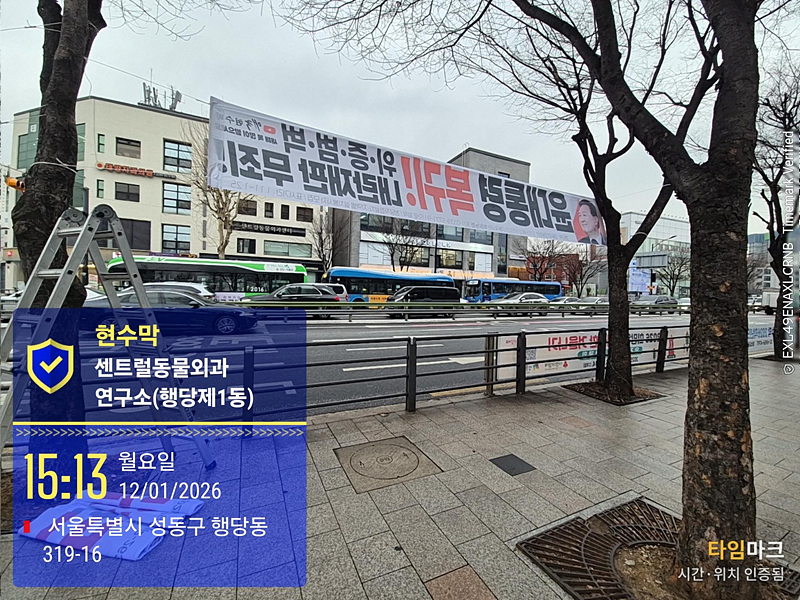 성동구